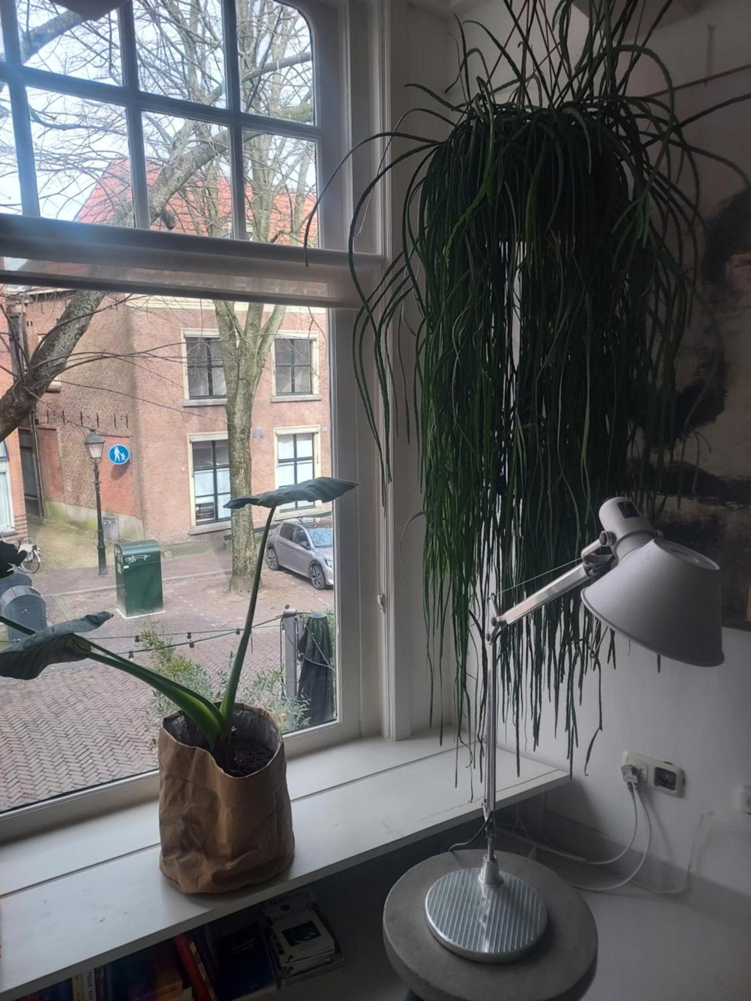 Volledige Bovenwoning Binnenstad Leeuwarden Exteriér fotografie